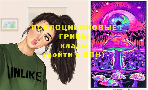 бошки Карпинск