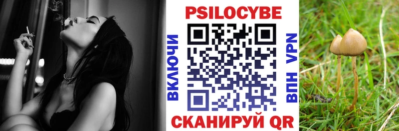 Галлюциногенные грибы MAGIC MUSHROOMS  Купить где  Зерноград 