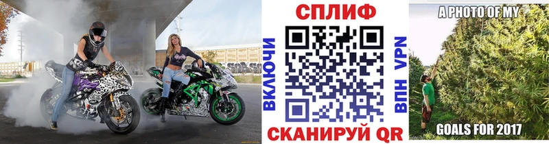 Купить где  Зерноград  Бошки Шишки White Widow 